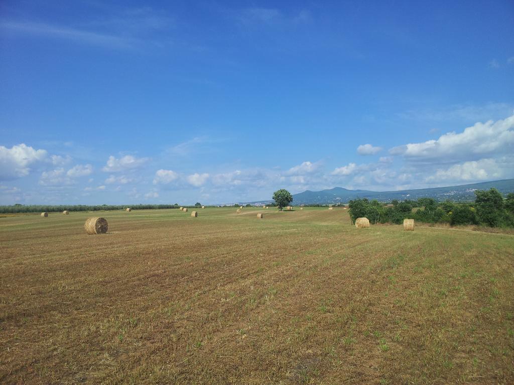 Bicoca - Casaletti Bauernhof Viterbo