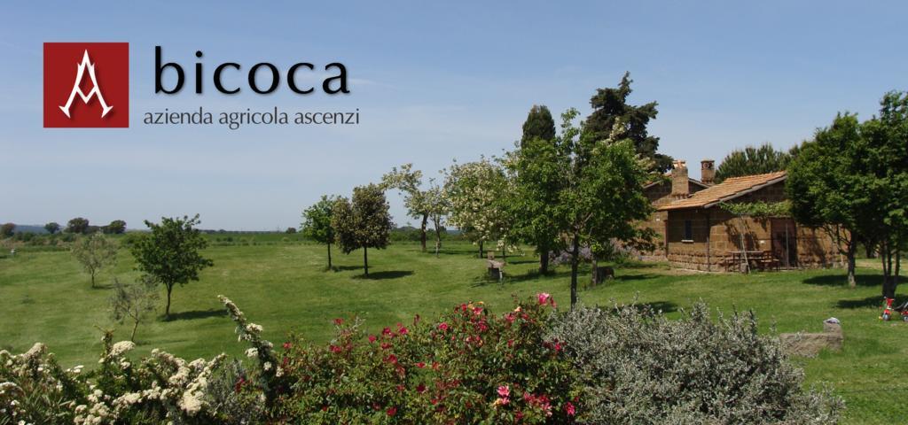 Bauernhof Bicoca - Casaletti Viterbo